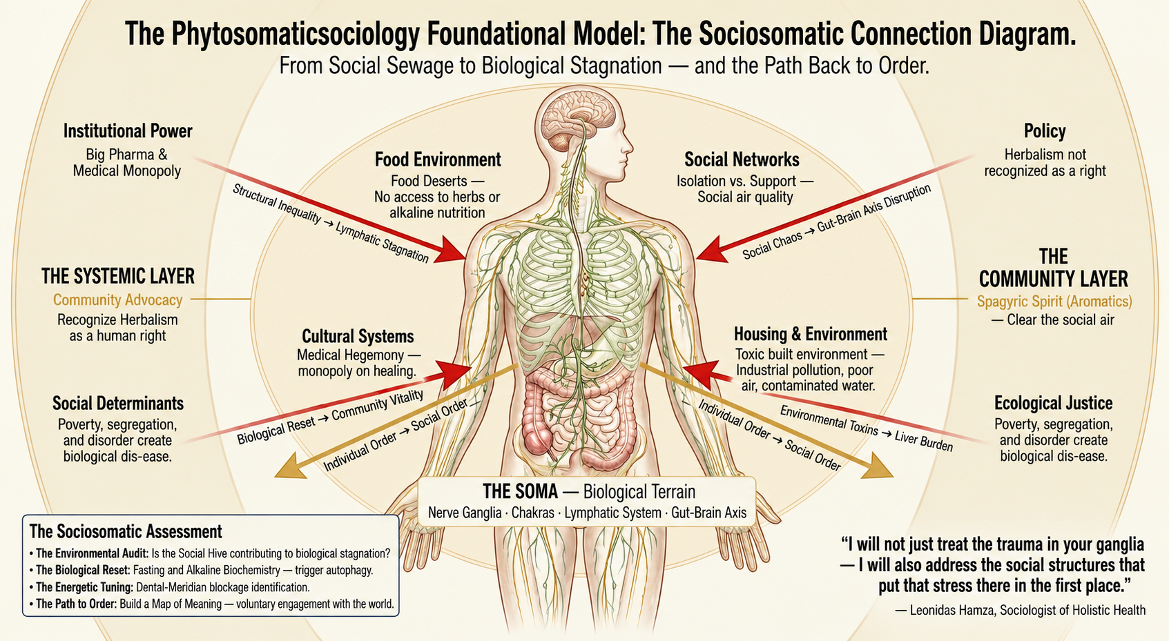 The Phytosomaticsociology Foundational Model: The Sociosomatic Connection Diagram